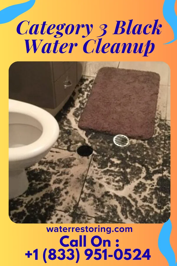 Category 3 Black Water Cleanup in Sullivan City, TX