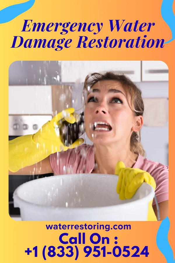 Emergency Water Damage Restoration in Sullivan City, TX