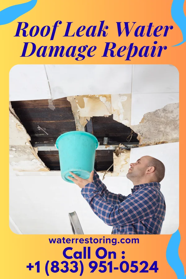Roof Leak Water Damage Repair in Sullivan City, TX